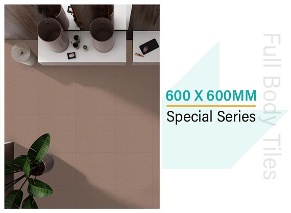 600x600MM Special Series 